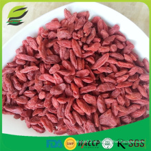 Goji chino goji bayas al por mayor goji